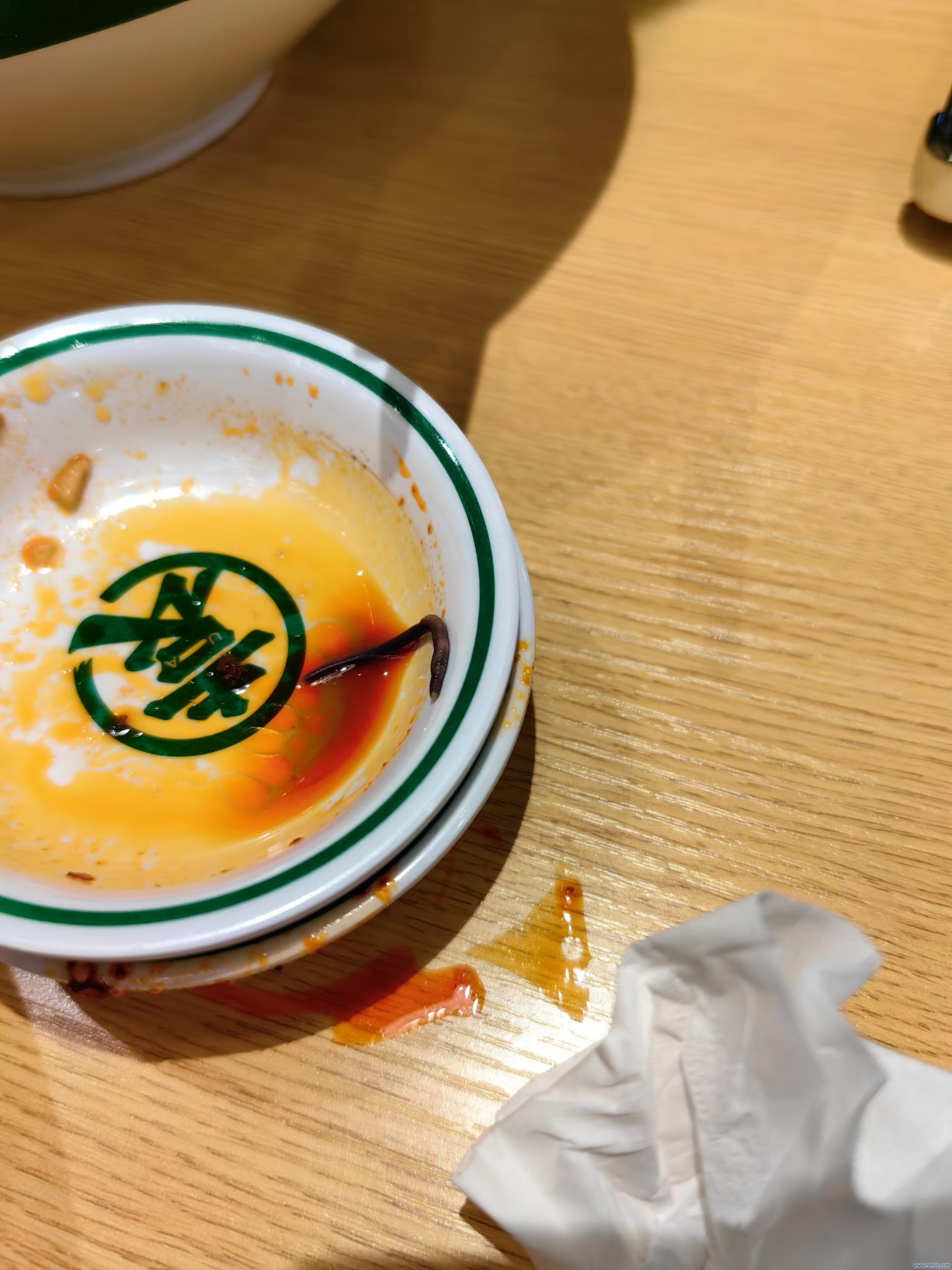 焦先生碗中吃出的蚯蚓。贵寓图