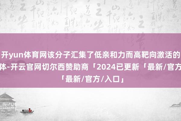 开yun体育网该分子汇集了低亲和力而高靶向激活的CD3抗体-开云官网切尔西赞助商「2024已更新「最新/官方/入口」