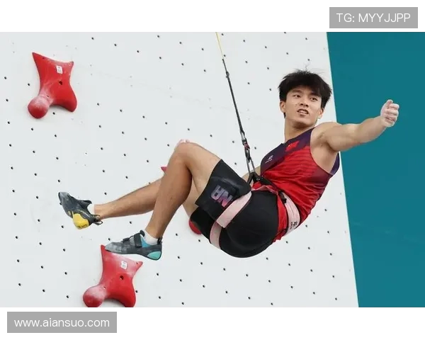 武汉攀岩队与杭州攀岩队赛后战术分析与反思