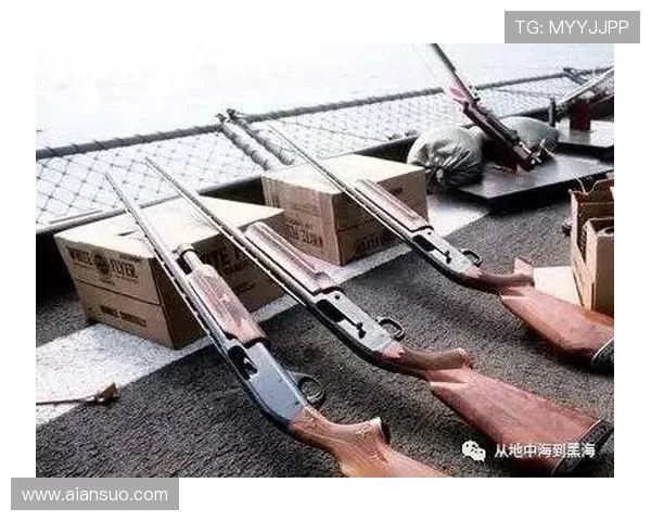 圣安德烈与科林蒂安的激烈对决揭示足球战术的博弈与激情