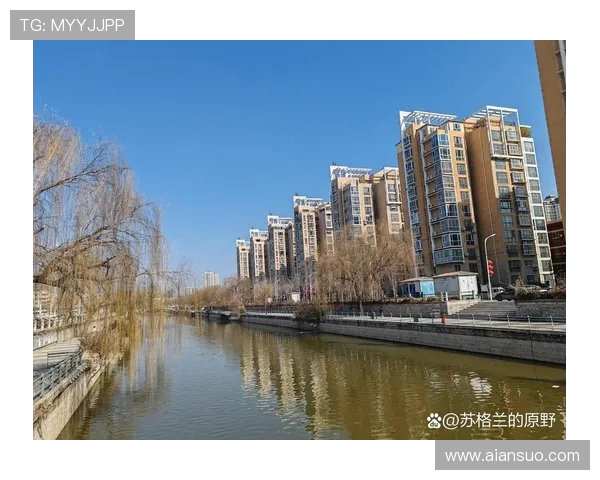 大秦之水与南通之云的交汇之美探寻传统与现代的和谐共生